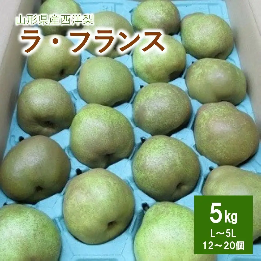 西洋梨（ラフランス）５ｋｇ　ご家庭用　0110-2604