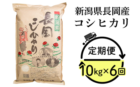 73-7N106B【6ヶ月連続お届け】新潟県長岡産コシヒカリ10kg
