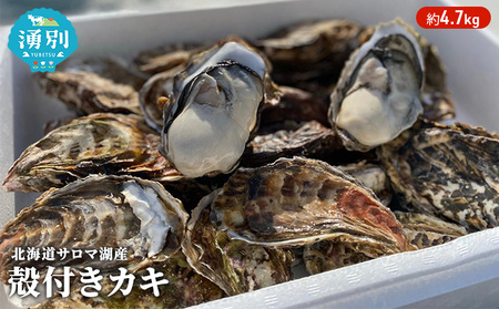 牡蠣 北海道サロマ湖産 殻付き 生食 牡蠣【約4.7kg】