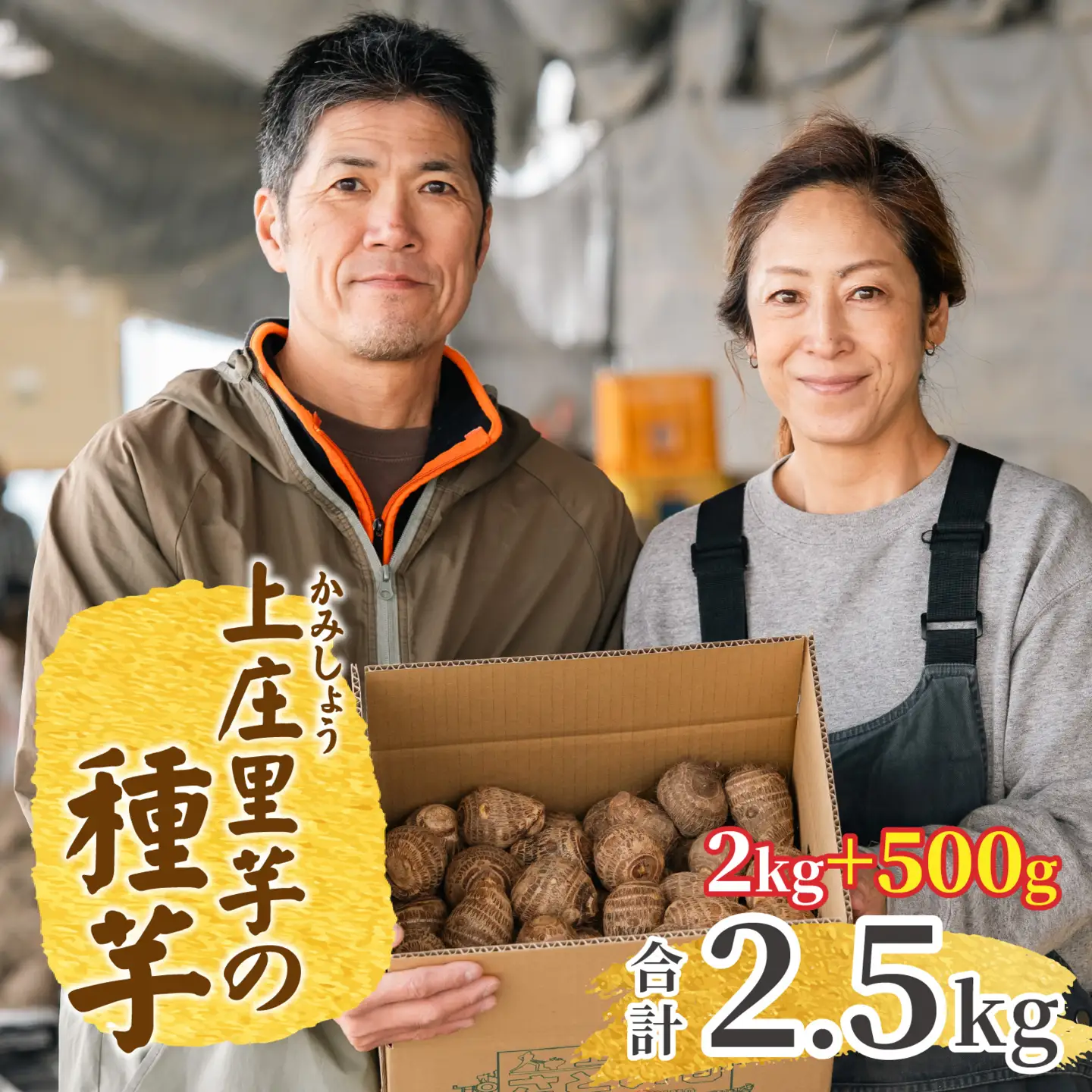 【先行予約】日本の美味い里芋を栽培！上庄里芋の種芋 2kg + 500g【2027年3月10日～出荷】 [A-001014]