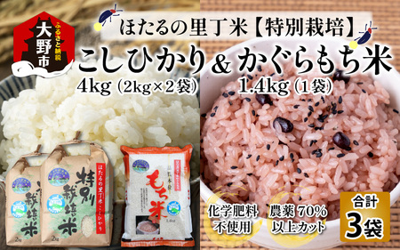 【先行予約】【令和7年産 新米】ベストファーマー ほたるの里 特別栽培こしひかり 4kg（2kg × 2袋） ＋ かぐらもち米 1.4kg 化学肥料不使用 農薬70％以上カット【10月より順次発送】 [A-002002]