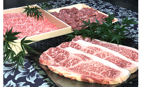 若狭牛セット サーロインステーキ モモ焼肉 ローススライス 若狭牛セット