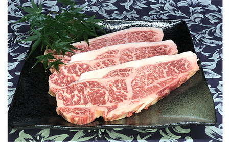 若狭牛 牛肉 サーロインステーキ 若狭牛【200g×3枚】