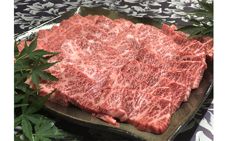 若狭牛 牛肉 特上カルビ 焼肉用 若狭牛【700g】