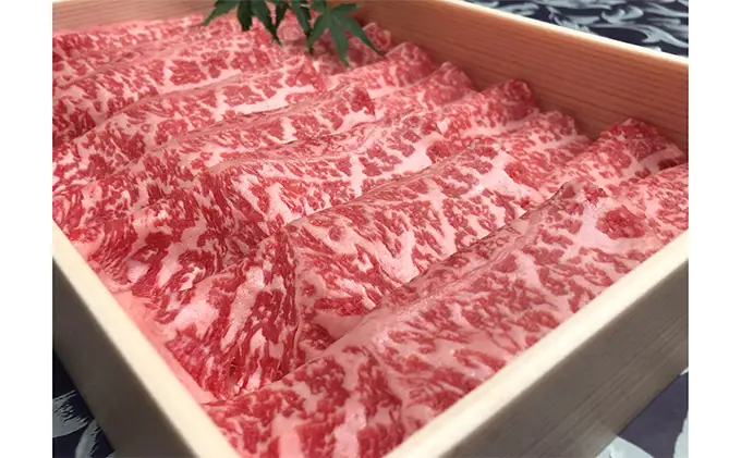 福井県のブランド牛 若狭牛 ローススライス 500g お肉 牛肉 