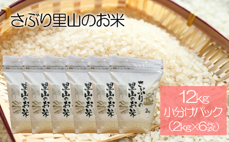 コシヒカリ 米 さぶりの里山 コシヒカリ【12kg(小分け×6袋)】