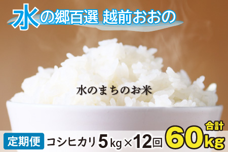 【令和7年産】【12ヶ月定期便】こしひかり 5kg×12回 計60kg【白米】「エコファーマー米」水のまちのお米 [H-003001]