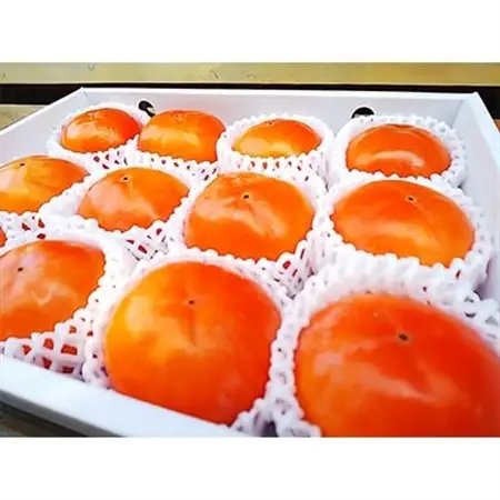 柿　富有柿12個入り(2Lサイズ)_果物・フルーツ 柿（カキ）  かき_【1138922】