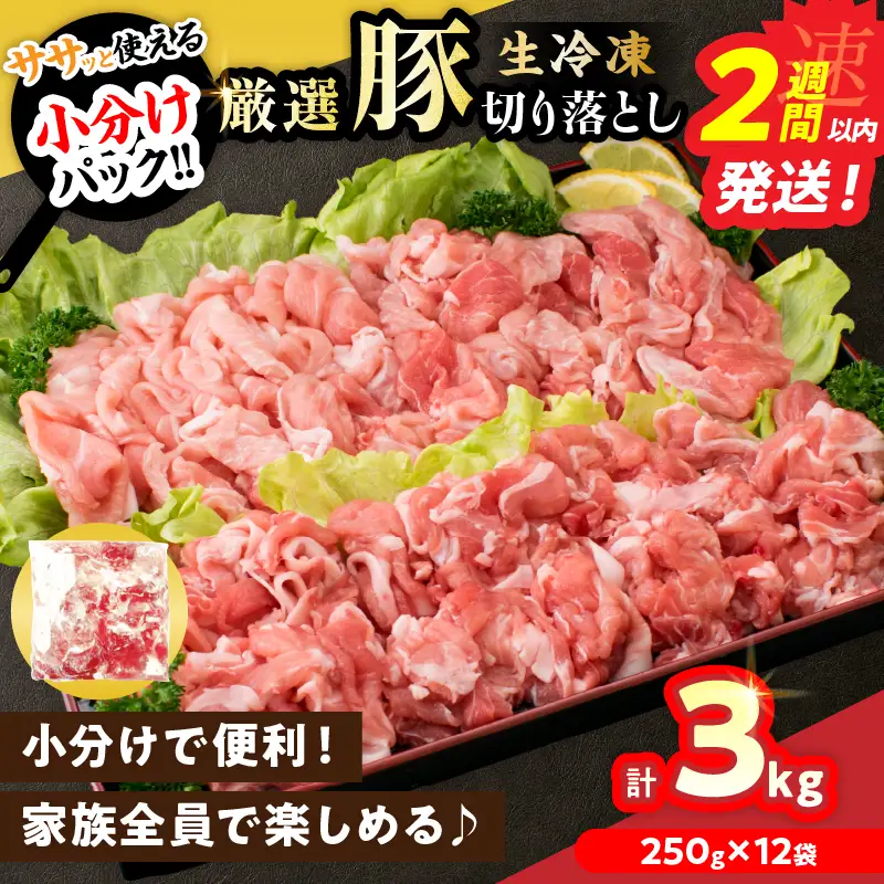 大人気 生冷凍 厳選 豚切り落とし 計3kg_C167-26-2W