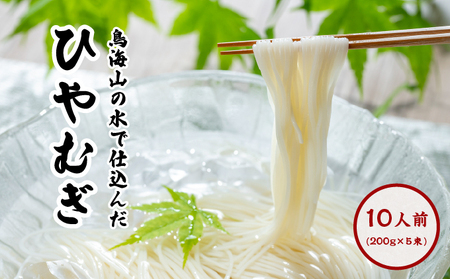 ひやむぎ200g×5束（10人前 冷麦 冷や麦） 麺類 