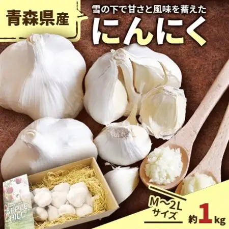 青森県産にんにく　M～2L約1kg_野菜 にんにく・生姜 根菜 ニンニク にんにく しょうが ショウガ_【1075555】