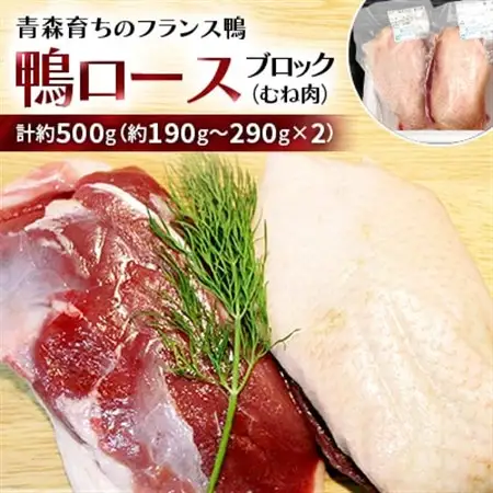 鴨ロースブロック(むね肉)約500g_肉 鴨肉  かも カモ ダック_【配送不可地域：離島】【1106346】