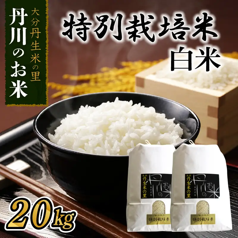 特別栽培米ぴかまる白米 20kg B01022