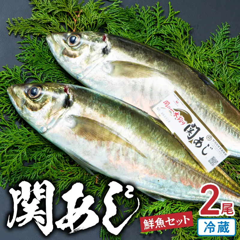 関あじ（鮮魚セット）2尾 E04023