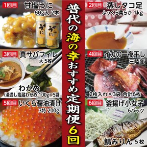 【定期便】三陸 普代村の海の幸おすすめ定期便６回 ６カ月連続お届け