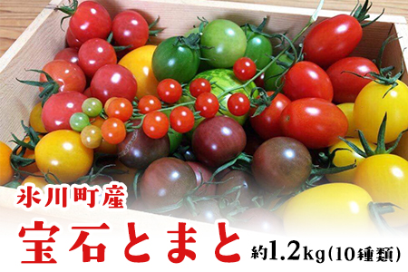 【先行予約】ミニトマト 宝石とまと 1.2kg 10種 トマト