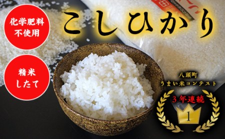 Y181 《新米予約受付開始！》 令和8年産 特別栽培米コシヒカリ10kg