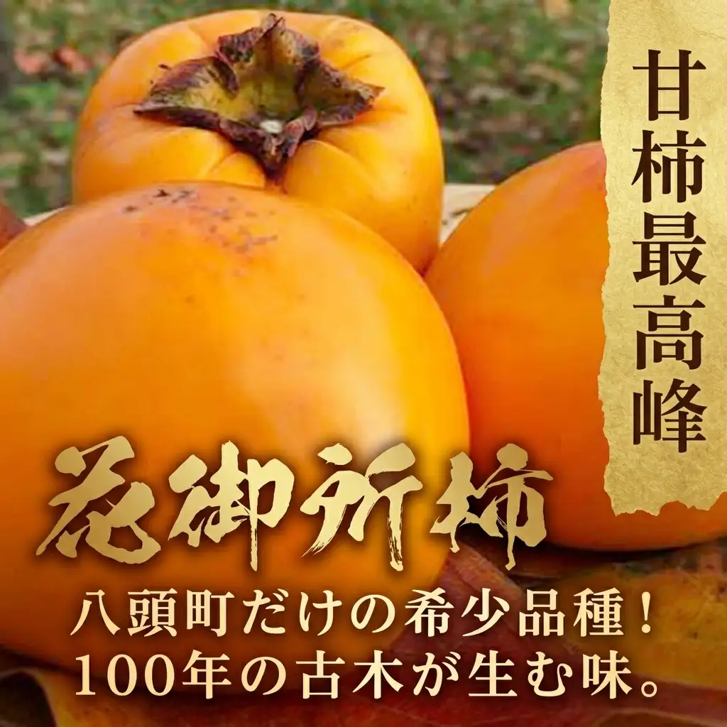 Y091 樹齢100年の古木から採れる花御所柿（2.5kg）