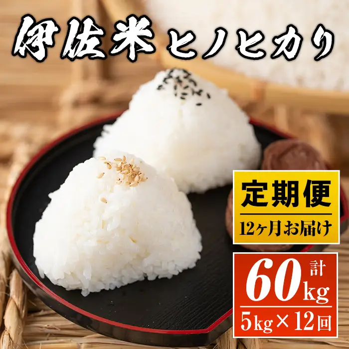 J5-02 【定期便】鹿児島県産！伊佐米ヒノヒカリ(計60kg・5kg×12ヶ月) 伊佐市 特産品 薩摩 北の郷 特産品 お米 白米 精米 ひのひかり 定期便【神薗商店】