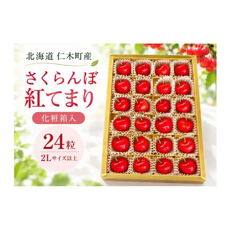 さくらんぼ 24粒 紅てまり Lサイズ以上 化粧箱入 サクランボ