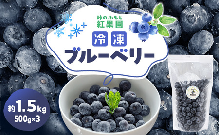 ブルーベリー 冷凍 北海道産 ブルーベリー【約1.5kg(500g×3)】