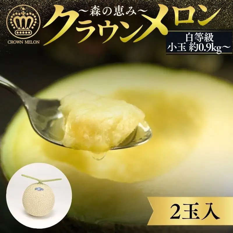 クラウンメロン 白等級 小玉 2玉 フルーツ メロン