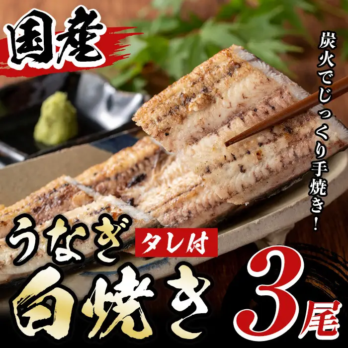 国産！うなぎ白焼き(3尾・タレ付き) 九州産 鰻 ウナギ 無頭 魚 魚介類 しろやき 白焼 かばやき 蒲焼 蒲焼き おかず 特産品 土用 丑の日 お土産 ギフト プレゼント 冷蔵 【尾方屋】_y082