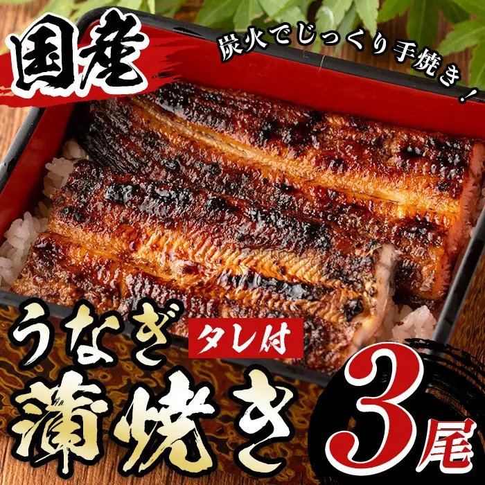 国産！うなぎ蒲焼き(3尾・タレ付き) 国産 九州産 鹿児島県 宮崎県 鰻 ウナギ unagi うな重 うな丼 ひつまぶし うなじゅう 蒲焼 かばやき 無頭 魚 魚介類 土用 丑の日 タレ タレ付 おかず 惣菜 冷蔵 特産品 お土産 ギフト プレゼント ご贈答 真空パック 湯煎 レンジ 簡単調理 【尾方屋】_A01