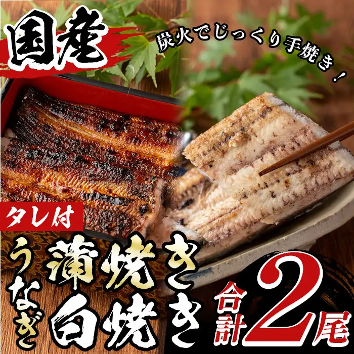 国産！うなぎ蒲焼き1尾＆白焼き1尾セット(計2尾) 国産 九州産 鹿児島県 宮崎県 鰻 ウナギ unagi うな重 うな丼 ひつまぶし うなじゅう 蒲焼 かばやき 白焼 しらやき 無頭 魚 魚介類 土用 丑の日 タレ タレ付 おかず 惣菜 冷蔵 特産品 お土産 ギフト プレゼント ご贈答用【尾方屋】_y133