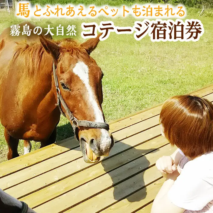 馬とふれあう&ペットと宿泊できる！ コテージPOSY　1泊2日宿泊券（1名様分）体験チケット 体験 レジャー アクティビティ ペット ふれあい 馬 宿泊 宿【霧島アート牧場】_y074