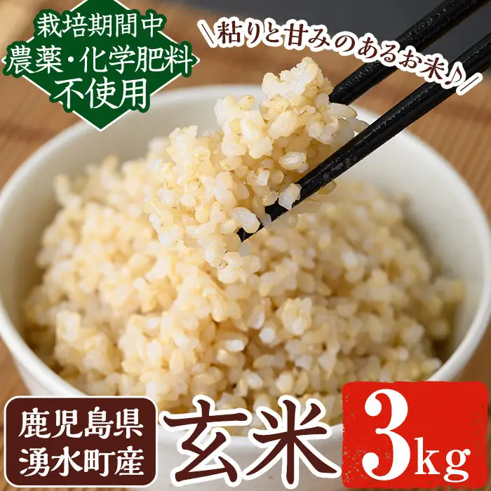 《栽培期間中農薬化学肥料不使用》 鹿児島県産 ヒノヒカリ 玄米(3kg) 国産 九州産 鹿児島県産 湧水町産 ひのひかり お米 おこめ オコメ 米 こめ コメ 玄米 ご飯 ごはん 3kg 化学肥料不使用 農薬不使用 有機 有機農業 有機肥料 【雲月農園】_y174