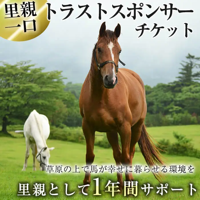 馬主のいない馬を助けたい！トラストスポンサーチケット(1枚) 里親として1年間サポートするシステムです 馬 競走馬 競馬 乗馬 乗用馬 里親 ペット サポート【NPO法人ホーストラスト】_y241