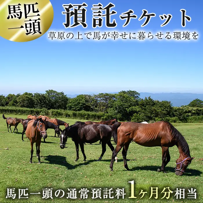 預託チケット！馬匹一頭の通常預託料1ヶ月分に相当するチケット(1枚) 馬 競走馬 競馬 乗馬 乗用馬 預託【NPO法人ホーストラスト】_y240