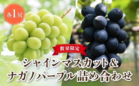 【先行受付2026年発送】東御市産シャインマスカット＆ナガノパープル ※8月下旬～9月下旬頃発送 | 2房 種無し 皮ごと 