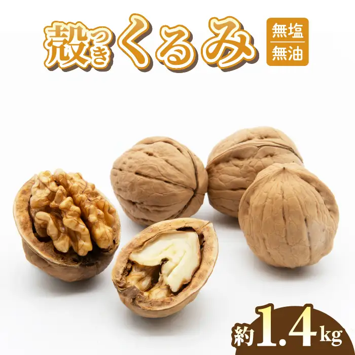 長野県産 殻つきくるみ約1.4kg（2026年収穫分）｜JA信州うえだ東部地区営農課 ※2026年11月下旬以降発送 胡桃 信濃くるみ ナッツ 家庭用 自宅用 おつまみ おやつ 無塩 無油 国産 信州 東御市