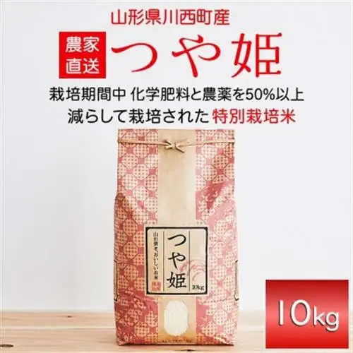 《先行予約》令和8年産　山形県産　つや姫　10kg_ 精米 米    つや姫 米 _【1120493】