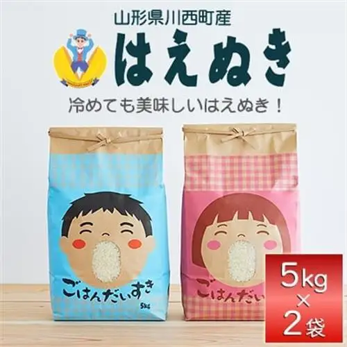 《先行予約》令和8年産　山形県産　はえぬき　10kg(5kg×2)_ 精米 米    はえぬき 米 _【1207046】