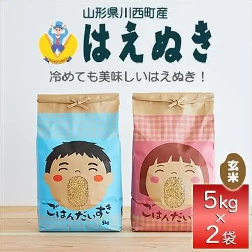 《先行予約》令和8年産　山形県産　はえぬき　玄米　10kg(5kg×2)_ 玄米 米 こめ コメ   はえぬき 米 _【1208100】