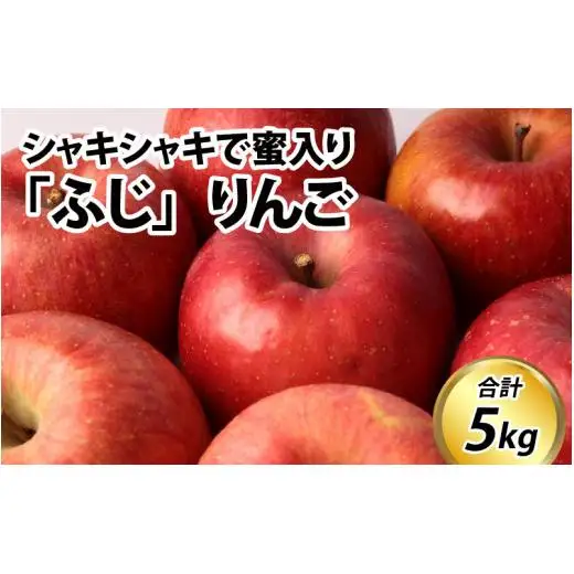 【先行予約】りんご 5kg【2026年12月以降順次発送予定】エコファーマー認定 | 林檎 リンゴ 果物 フルーツ 甘い ふじ 蜜入り 5kg 5キロ