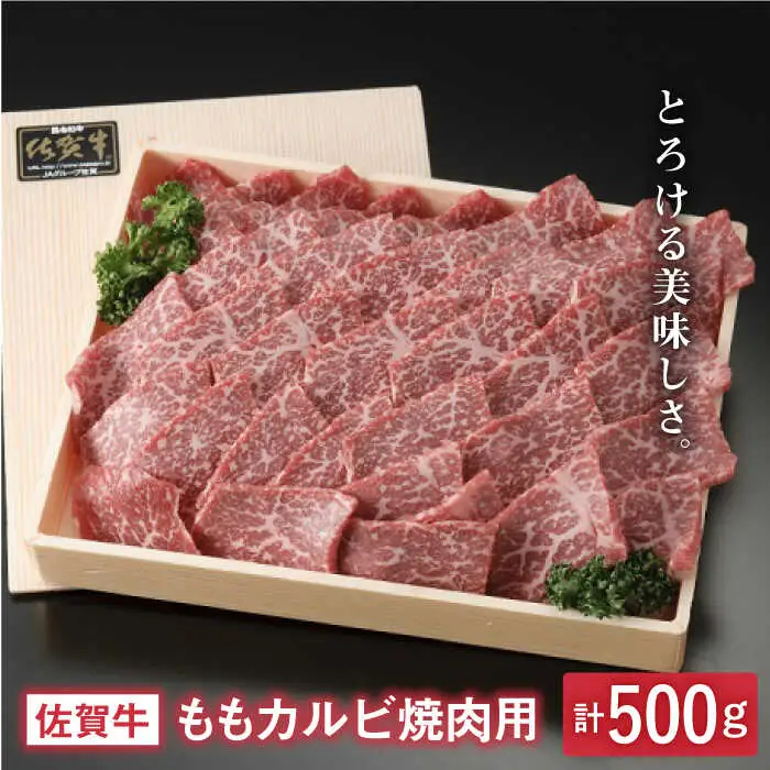 とろける美味しさ 佐賀牛ももカルビ焼肉用 500g【アスタラビスタ】[FAM004]