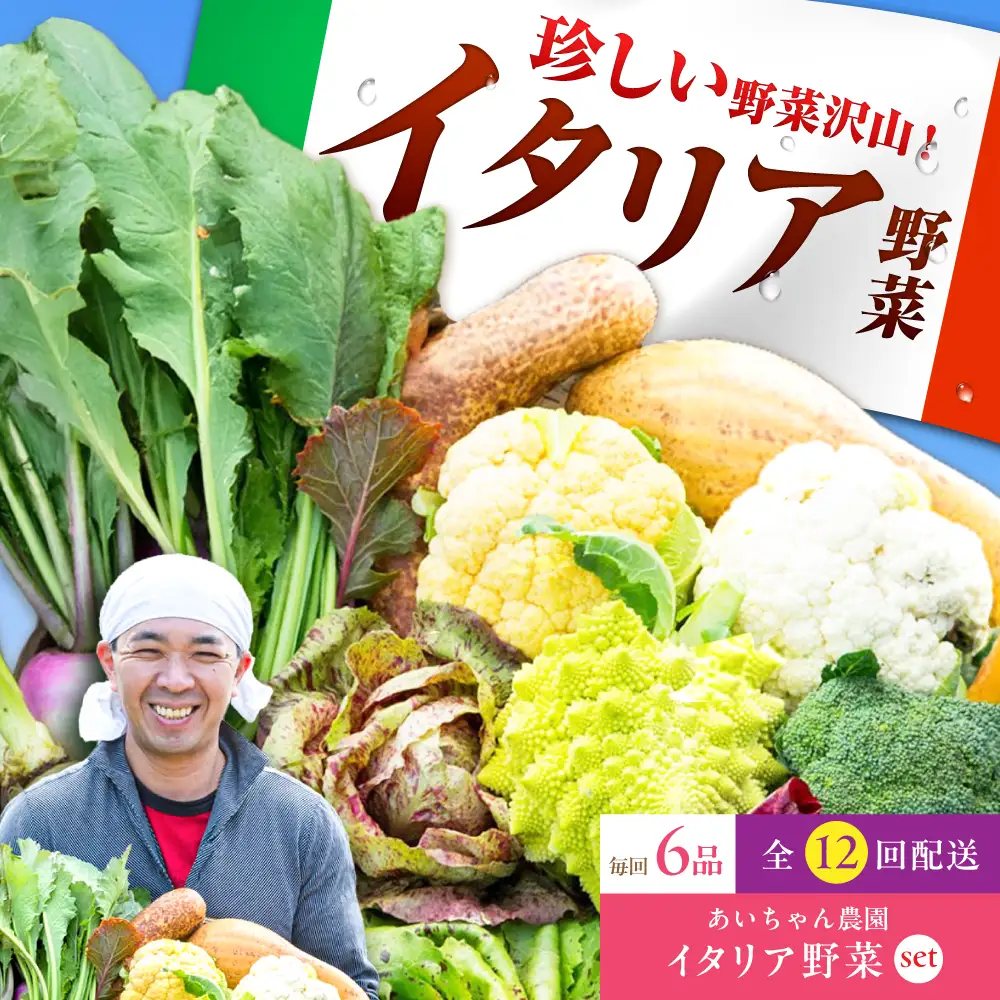 【6品 / 12回定期便】農薬に頼らない！カラダにやさしい イタリア野菜セット（ショート）野菜 やさい[FAA014]