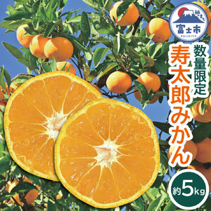 みかん 寿太郎 約5kg 50玉前後 ミカン 蜜柑 果物 フルーツ 濃い 濃厚な風味 高糖度 甘い 甘みと酸味のバランス 静岡県 富士市産 [sf001-063]