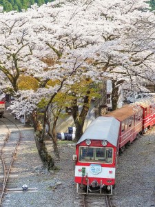 41-1 大井川鐵道本線・南アルプスあぷとラインの旅と「奥大井音戯の郷」入館プラン