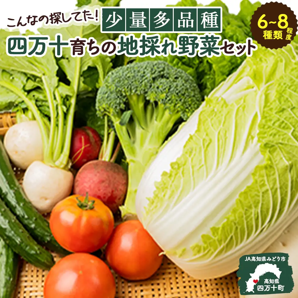 【少量多品種】 四万十育ちの地採れ 野菜セット （6〜8種類）野菜 ／Qjs-A21