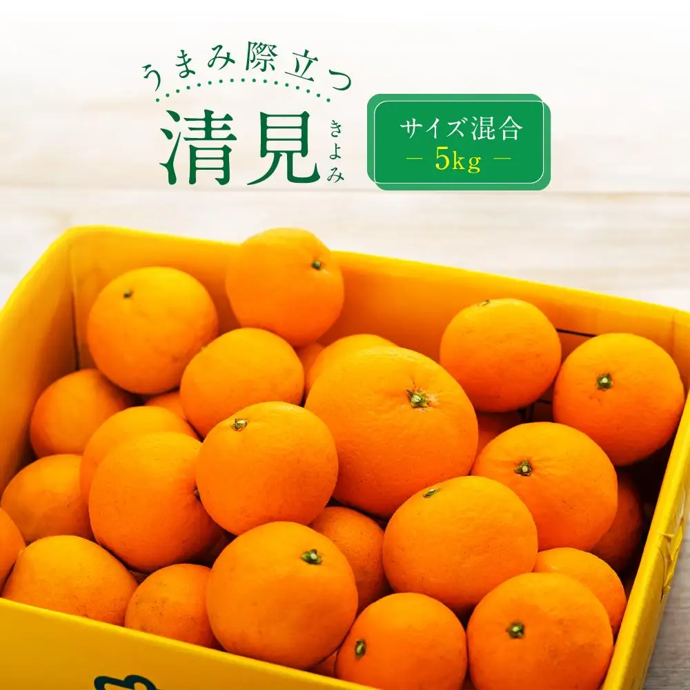 うまみ際立つ 清見（きよみ） 約5kg サイズ混合