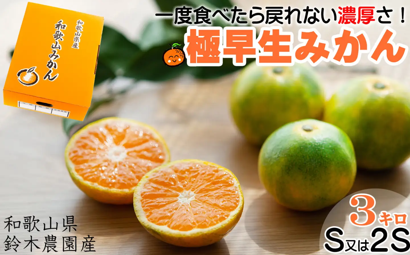 「先行予約」極早生みかん（ゆら早生みかん）３kg S・2Sサイズ 「2026年10月より順次発送」｜果物 柑橘 小粒 小玉 YN26