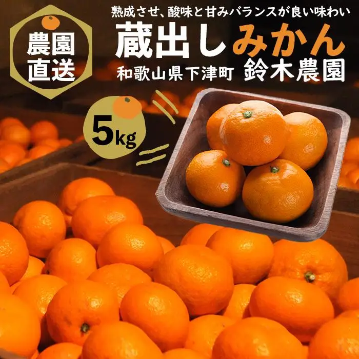 訳あり みかん 蔵出しみかん 5kg 鈴木農園