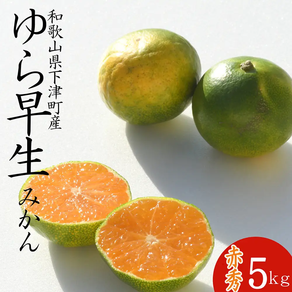 極早生みかん ゆら早生みかん  約5kg SS・S・Mサイズおまかせ 2026年10月より順次発送《赤秀》［Mg22］