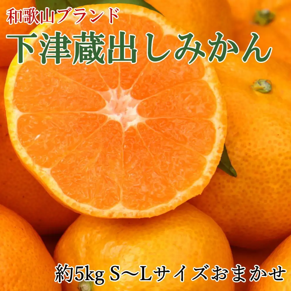 ［産直］下津蔵出しみかん約5kg（S～Lサイズおまかせ）★2027年1月中旬頃より順次出荷