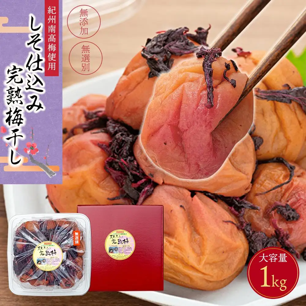 紀州南高梅使用 しそ仕込み完熟梅干し 無選別1kg［TM145］